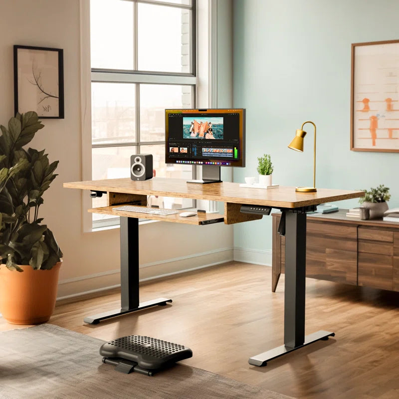 Lilja Electric Standing Desk Height Adjustable，Memory Computer Home Office Desk with Keyboard Tray for Home Office